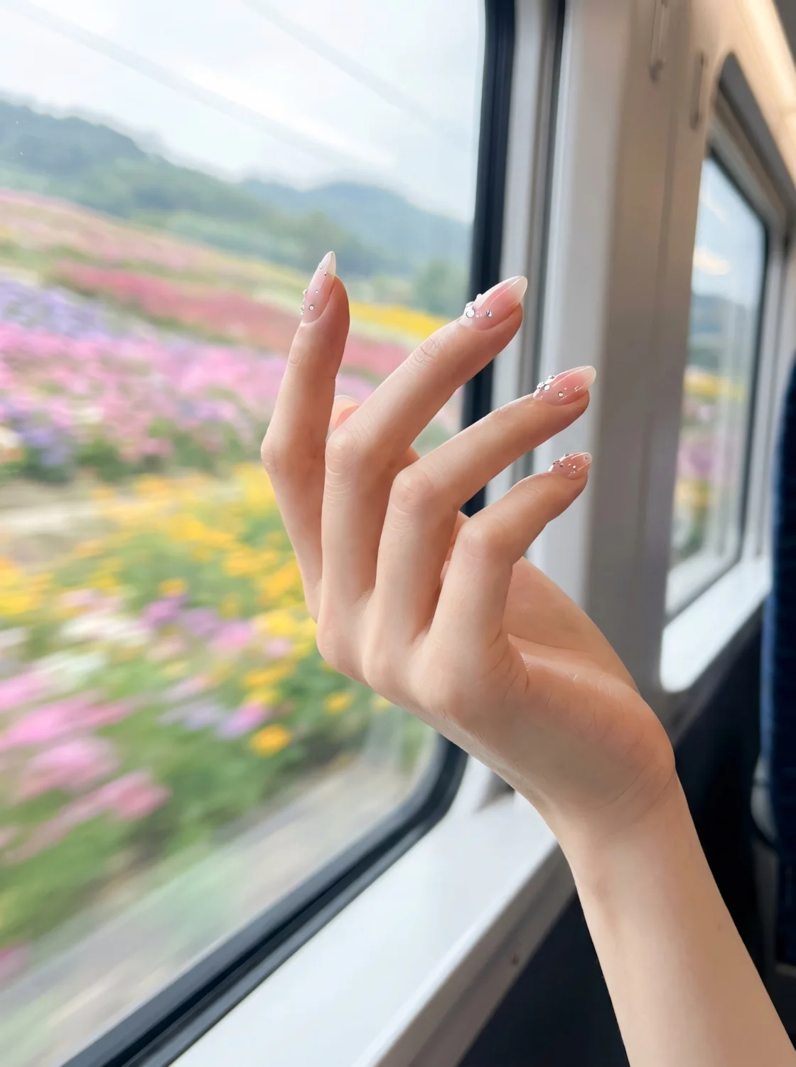 클리어 치크 보야지