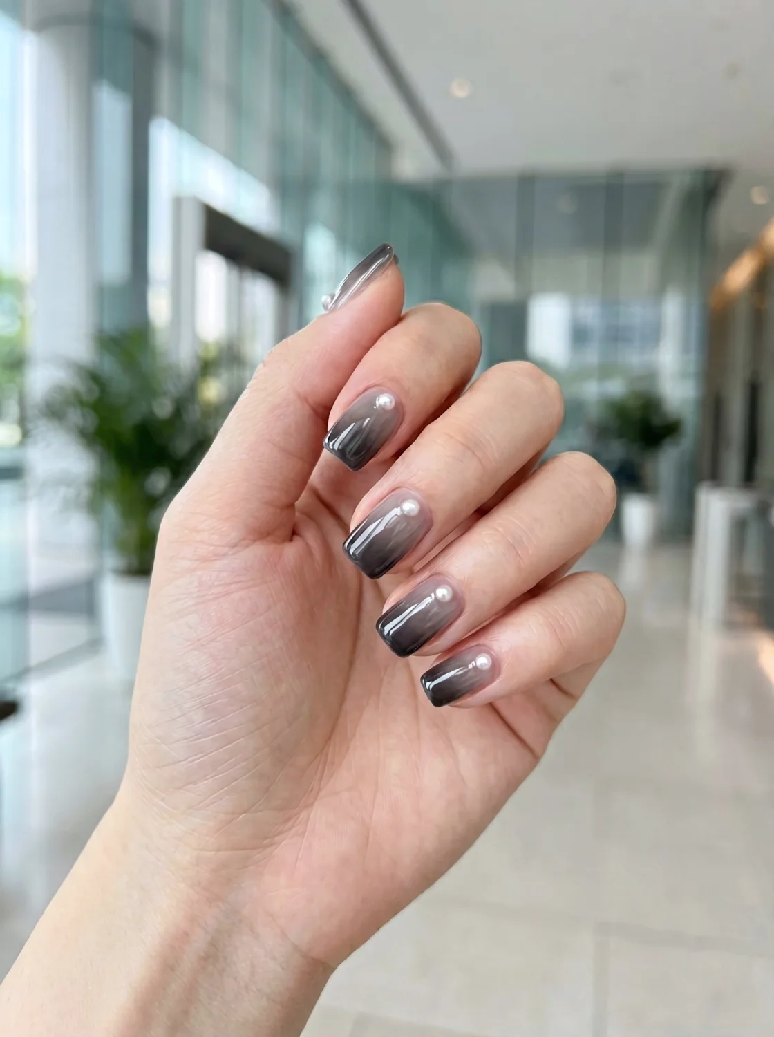 다크 옴브레 진주 오피스